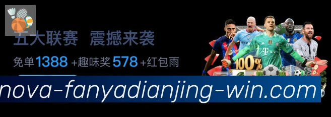 未来规划
